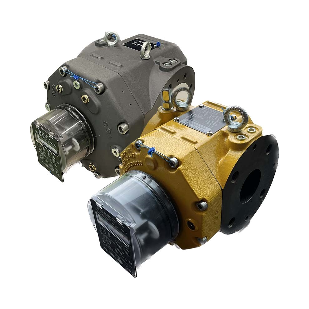 Pietro Fiorentini IM-RM Rotary Gas Meter